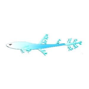 Ice Cat Shark